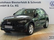 Audi Q5, 2.0 TDI advanced quattro App, Jahr 2023 - Wedel