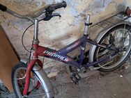 Kinder Fahrrad 20 Zoll - Bernburg (Saale)