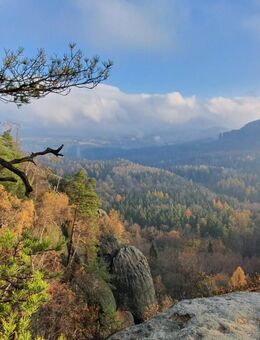 Wandern am 31.10. - 02.11. in der sächsischen Schweiz - welche Sie bis 45 hat Lust auf Natur ?? - Dresden