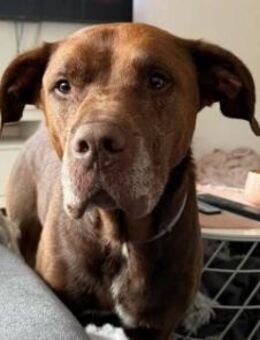 menschenbezogener VITTO sucht dich... - Kallmünz