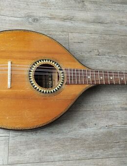 Böhm - Waldzither und Walddoline aus Nachlass, 9 Saiten, 67 cm - Nottuln
