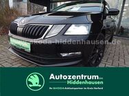 Skoda Octavia, 1.5 TSI III Combi Soleil Soleil, Jahr 2019 - Hiddenhausen