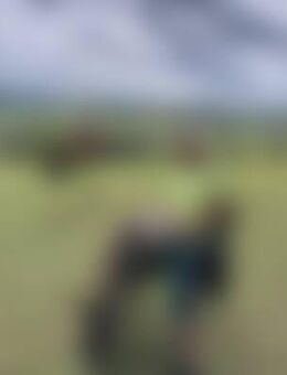 Ang*** - Blieskastel