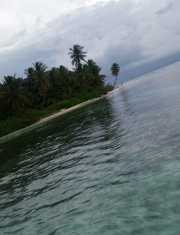 Junger Mann sucht reife Dame für feste Partnerschaft - Reinbek