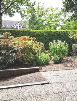 Barrierefreie Terrassenwohnung in Top-Lage von Olsberg ! - Olsberg