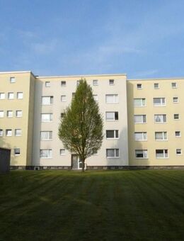 3,5 Zimmer Wohnung in grüner Lage - Herne