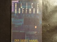Der Siebte Himmel Roman von Alice Hoffman (Taschenbuch) - Essen