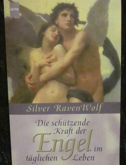 Die schützende Kraft der Engel im täglichen Leben, Silver RavenWolf + Dein Leben im Licht, Doreen Virtue - München
