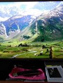 Toshiba Fernseher in 12309