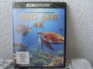 Red Sea 4K Ultra-HD Blu-ray NEU + OVP Doku in Ultra HD - Kassel