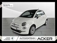 Fiat 500, 1.0 Mild Hybrid Dolcevita 16, Jahr 2024 - Bad Berleburg