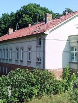 Ruhige und gepflegte 2-Raum-Wohnung im Hochparterre - Bad Freienwalde (Oder)