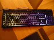 Super Gaming-Tastatur - Neupreis: 69,99 € - Biebergemünd