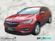 Opel Grandland X, 1.2 Edition, Jahr 2021 - Bad Driburg