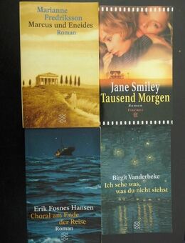 Zeitgenössische Literatur Romane Erzählungen Gedichte Bestseller 48 Bücher zus. 5,- - Flensburg