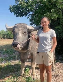 Suche lieben Mann - Göggingen