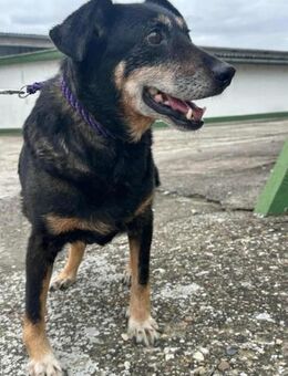 Lara möchte glücklich werden - Nordwalde