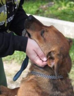 MEXX, freundlich und sehr nett - Marktleugast