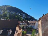 Erstvermietung von kernsanierter Wohneinheit mit Aufzug und 3 Balkonen - Eberbach