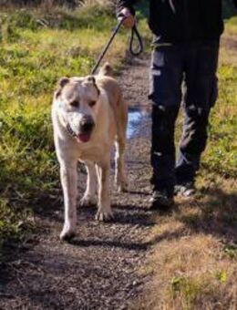 THOR - wo wartet mein Traumjob? - Overath