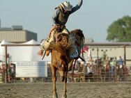 Horseback Riding 😇 at it's Best - Geislingen (Steige)