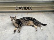 Davidix - Aichwald