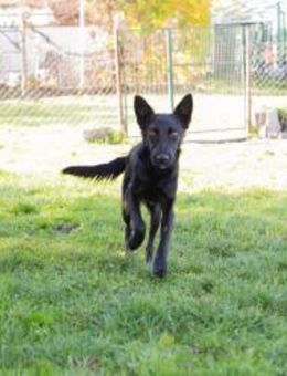 254996 -Familie ist wie warmes Körbchen? - Overath