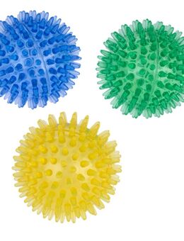 zooplus basics Stachelball-Set - 3 Stück