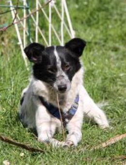 ALICE - sucht ihr Wunderland! - Waakirchen