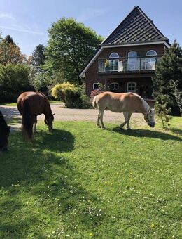 schönes Einfamilienhaus mit Pferdehaltung,Weiden und Stallungen - Braderup