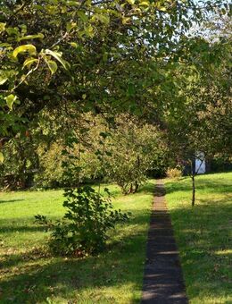 *2 Einfamilienhäuser auf einem Grundstück im beliebten OT Dreilinden* - Osterode (Harz)