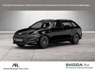 Skoda Superb, 2.0 TDI Combi Sportline, Jahr 2024 - Einbeck