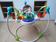 Jumper Fisher Price !Sound defekt! 30 Euro - Bocholt