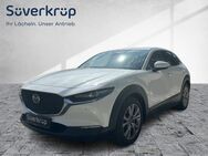 Mazda CX-30, 2.0 Selektion Fahrerairbag Beif, Jahr 2021 - Rendsburg