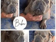 BUBU PP Zauberhaftes Mädel sucht Liebe - Neustadt (Rübenberge)