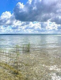 Umgeben von Wald und nur wenige Minuten zum See - Joachimsthal
