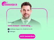 Sales Analyst (m/w/d) - Controlling, Data Analysis und Vertriebsunterstützung - Rellingen