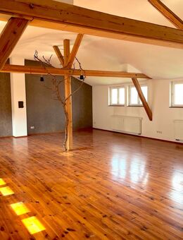 Apartment mit Altbaucharme - Zentrumsnähe ROB/HBF - Aschaffenburg