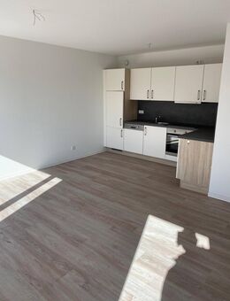 Betreute Wohnung in Neustadt - AB SOFORT! - Neustadt (Hessen)