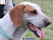 Bounce Frohnatur mit Handicap - Kissing