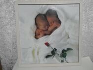 Anne Geddes Poster im Holzrahmen schlafende Babys - Rödermark