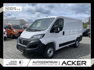 Fiat Ducato, 30 120 Multijet L1 Techno City-P, Jahr 2023 - Bad Berleburg