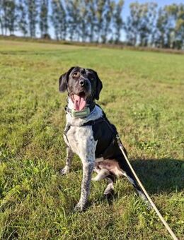 Nando auf der Suche nach Liebe - Eixen