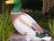 Ente Erpel Figur Statue Skulptur Küken Deko Gartenfigur uk901 - Enger (Widukindstadt) Zentrum