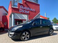 Renault Scenic III BOSE Edition Leder Tempo Navi Sitzh - Gera