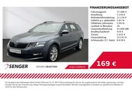 Skoda Octavia, 2.0 TDI Combi Ambition, Jahr 2019 - Emsdetten