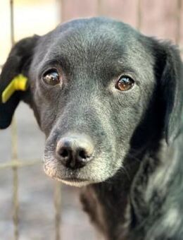 NADEJE ~ möchte endlich ankommen - Duisburg