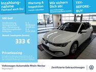 VW Golf, 2.0 TDI VIII Life, Jahr 2022 - Mannheim