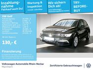 VW Golf, 2.0 TDI VIII Life, Jahr 2024 - Mannheim