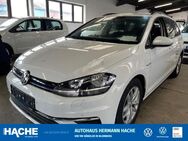 VW Golf Variant, 1.5 TSI Golf 7 Comfortline, Jahr 2020 - Blomberg (Nordrhein-Westfalen)